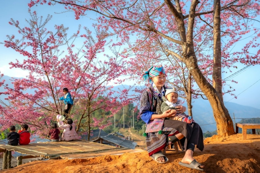Peuple hmong sous les fleurs de pecher sauvage a mu cang chai