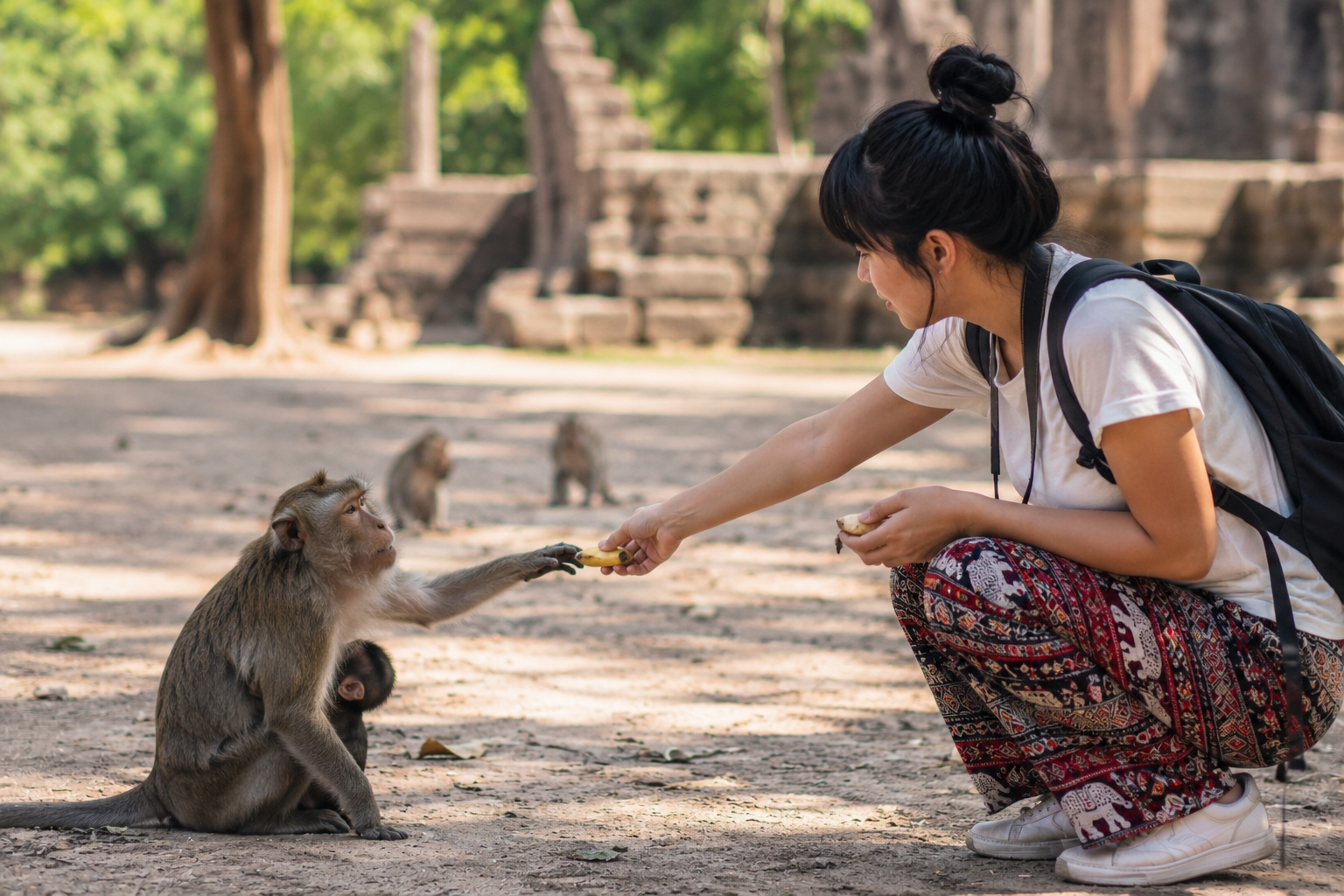 9. Nourrir ou toucher les animaux sauvages