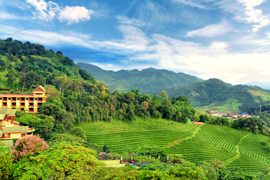 Que faire au nord Thaïlande Chiang Rai