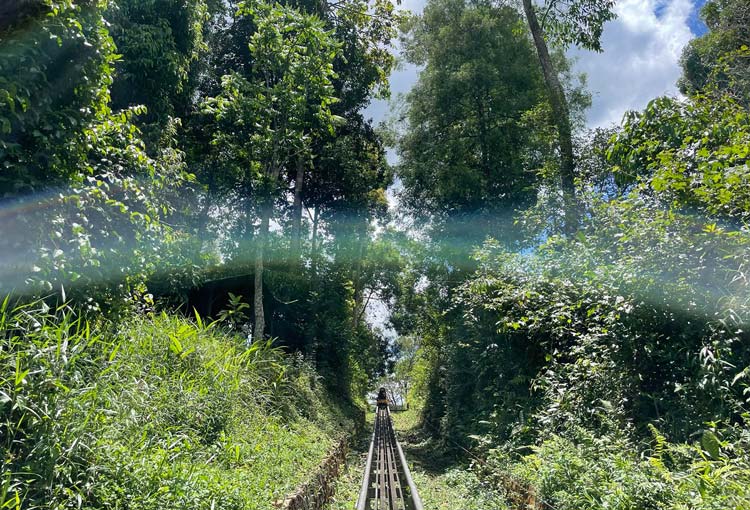 Toboggan dans la zone touristique de la cascade de Dambri