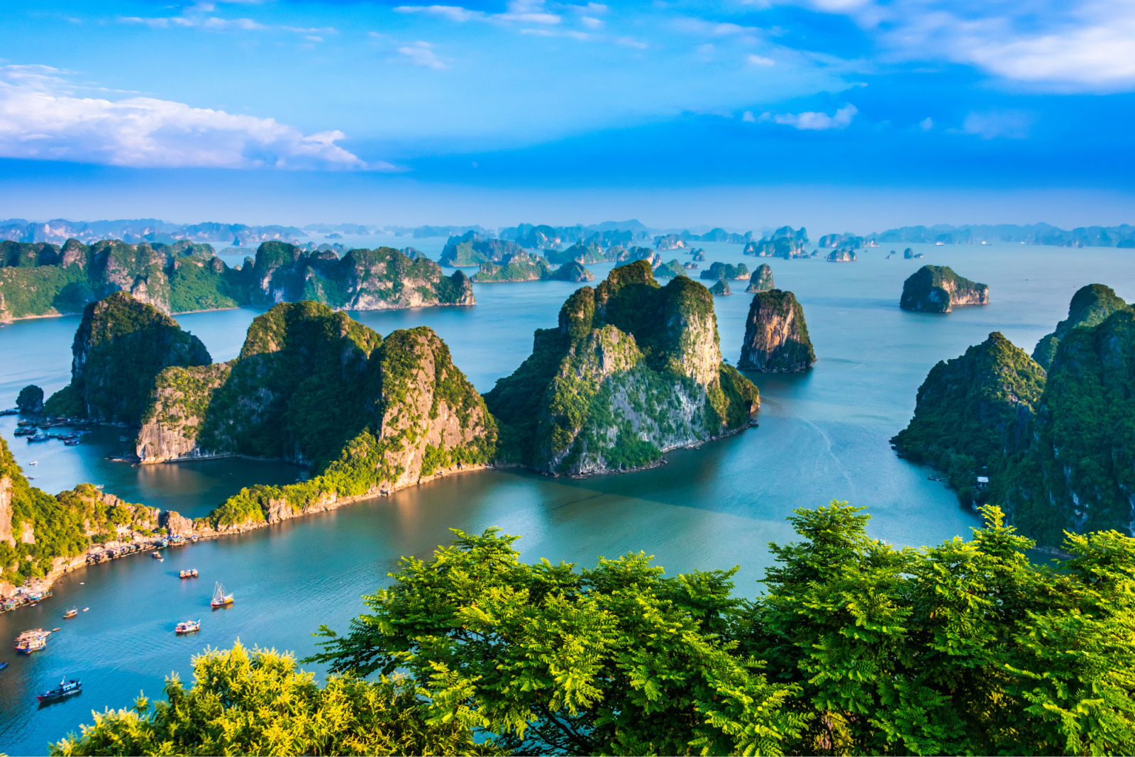 Le panorama de la croisière dans la baie d’Ha Long