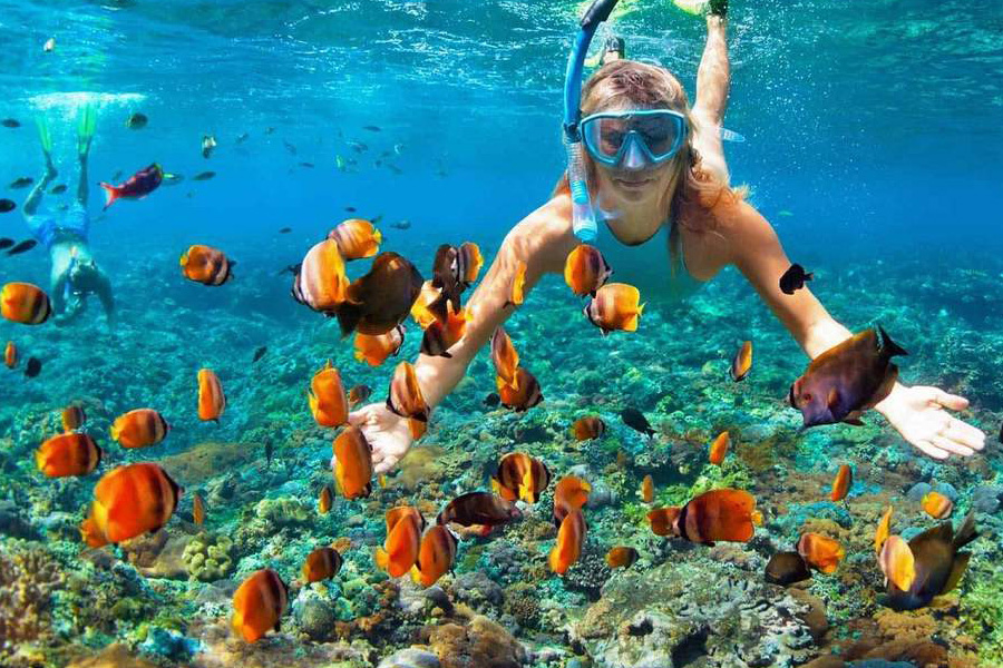 Rencontre magique avec les poissons multicolores à Phu Quoc