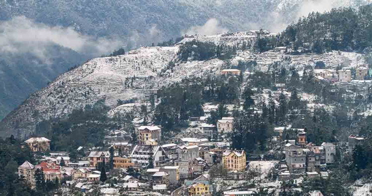 Paysage d'hiver froid et enneigé