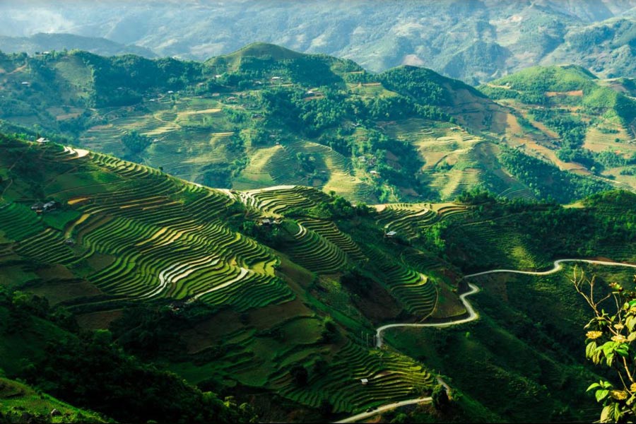 Ha Giang ou Sapa? - Un voyage pittoresque à explorer