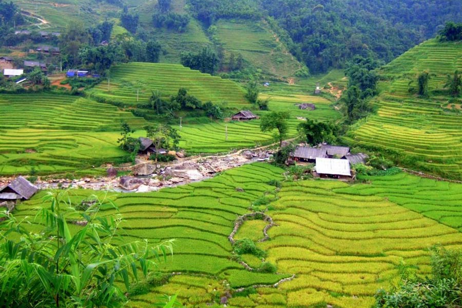 Ha Giang ou Sapa? - Un voyage pittoresque à explorer