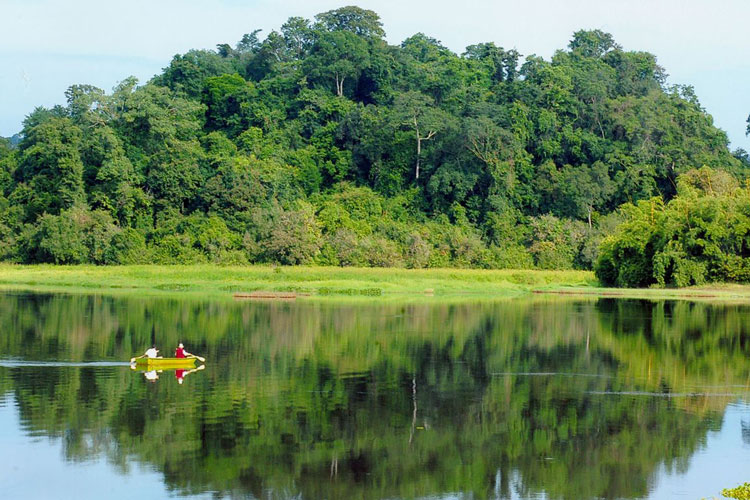 Le parc national de Nam Cat Tien