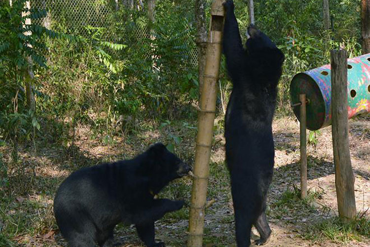 Le parc national de Nam Cat Tien