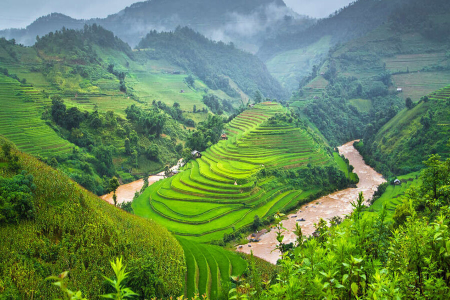 Paysage de Sapa en pleine saison idéale