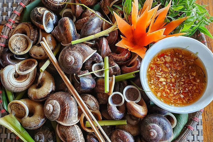 Les escargots de montagne à Ninh Binh offrent une expérience rare et savoureuse