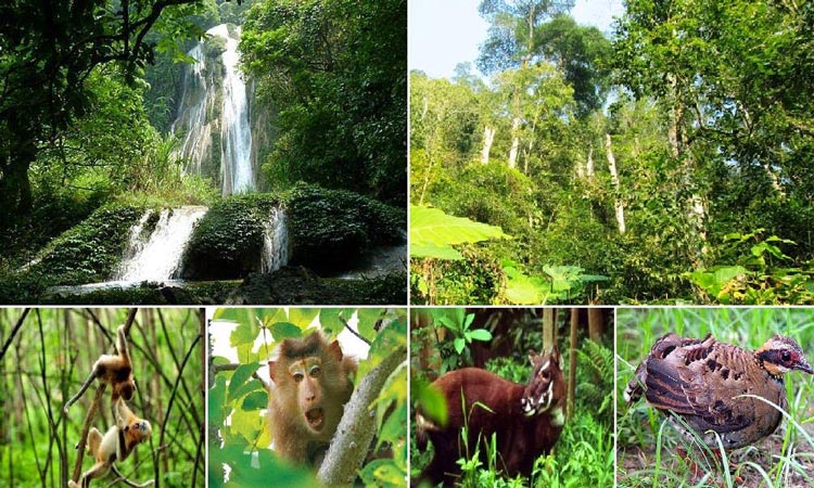 Préserver la biodiversité dans le parc national