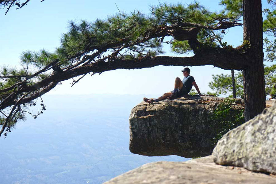 Sommet de la montagne de Phu Kradeung à Loei est idéal pour observer panoramiquement la nature locale
