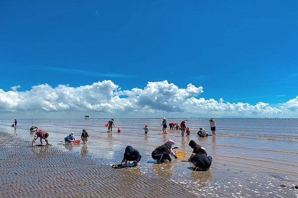 Ramassage des palourdes avec les pêcheurs locaux à la plage Con Den