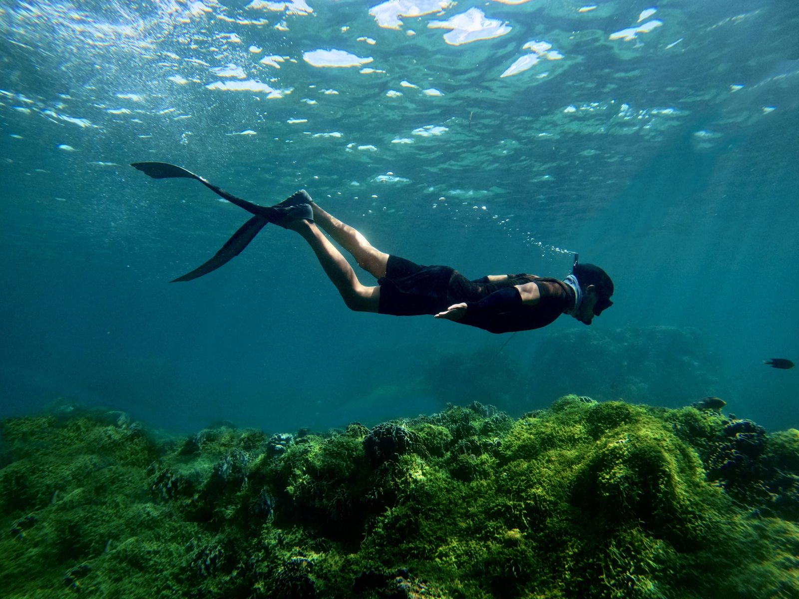 Aventure sous une eau bleu clair