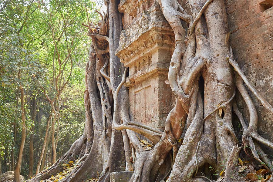 Sambor Prei Kuk, l'un des temples secrets d'Angkor