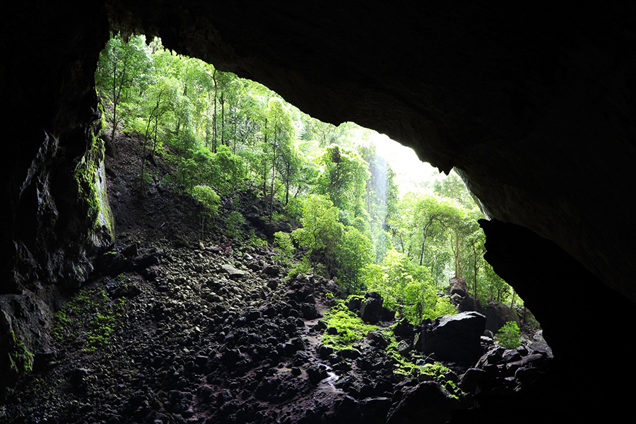 Grotte Deer à Sarawak avec une grande voûte naturelle