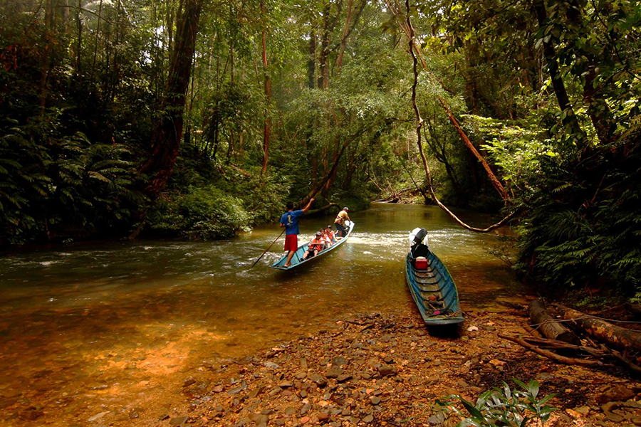 Grands fleuves à Sarawak sont riches en biodiversité