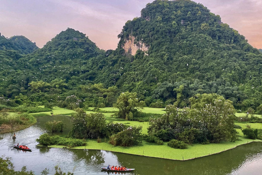 Se promener dans la forêt primitive à Thung Nham