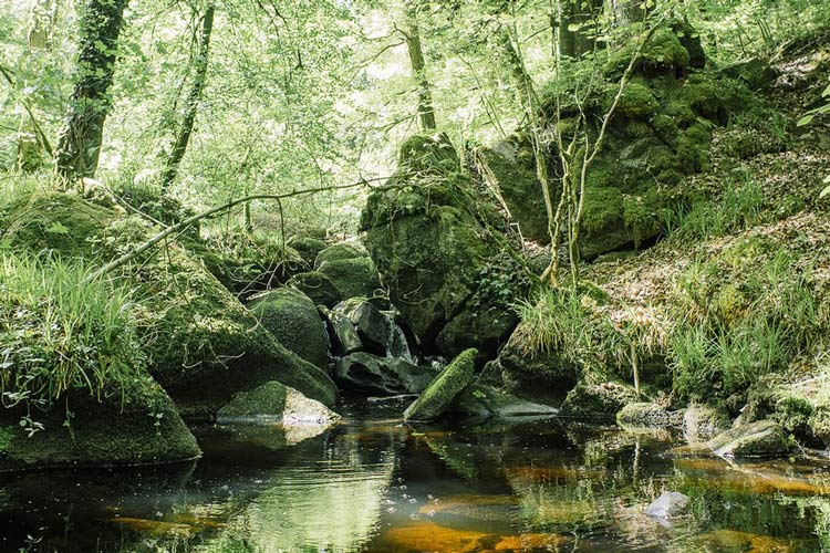  La cascade de Tat Ton