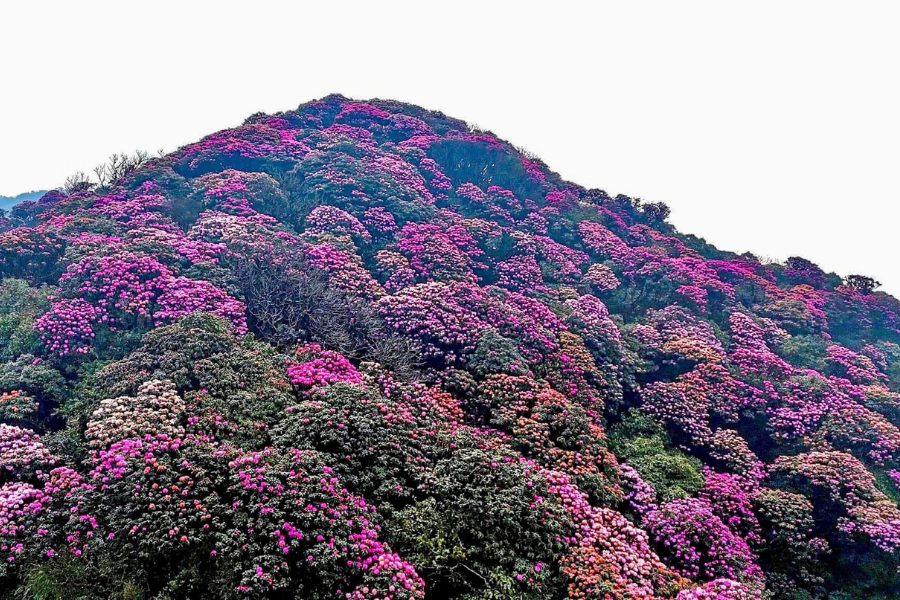 la vue à travers des paysages du trekking du Vietnam