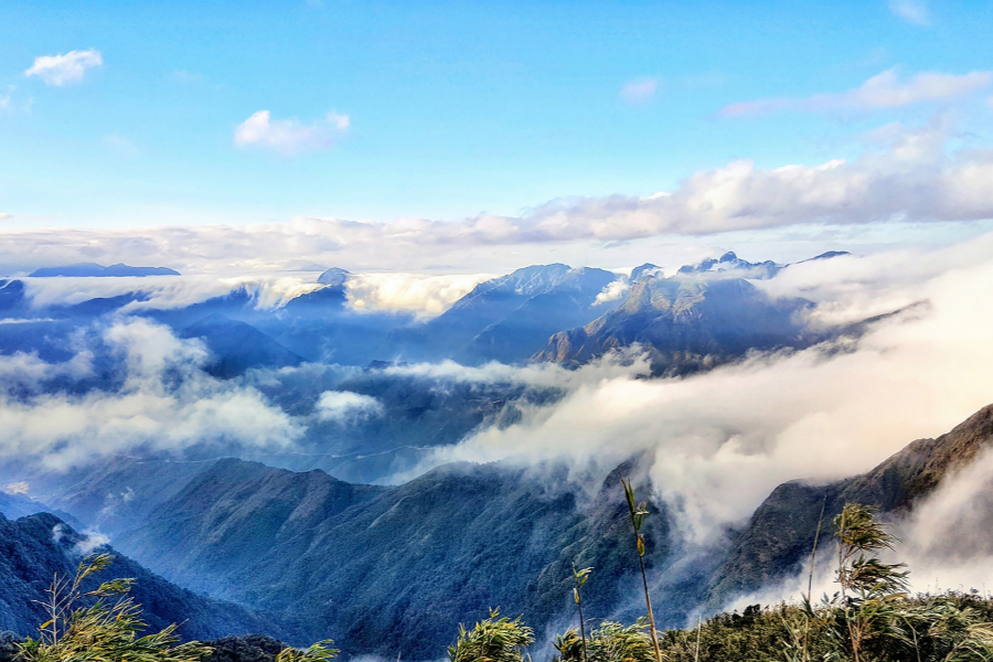 le climat agréable dans le trekking du Vietnam