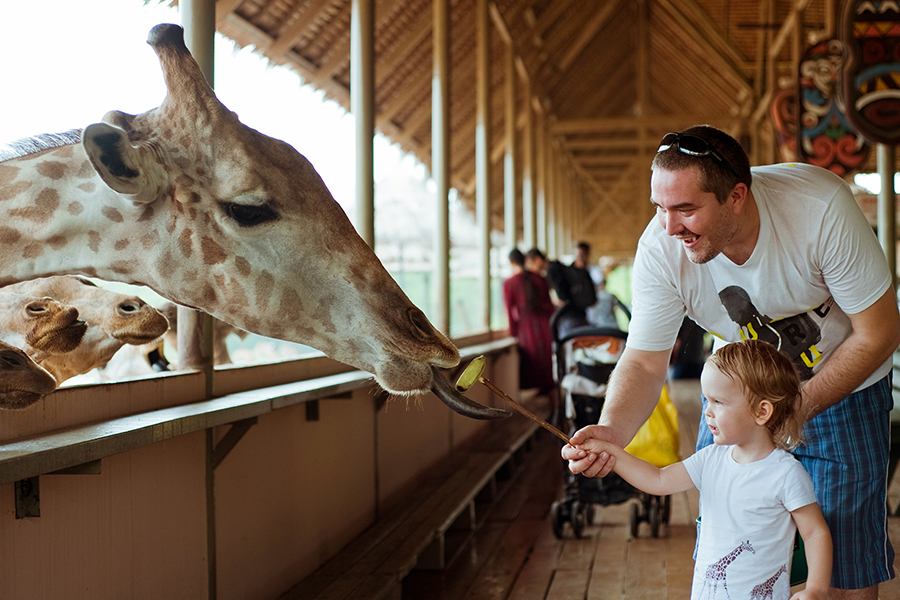 Visiter la Safari World Bangkok lors de voyager en Thailande avec vos enfants