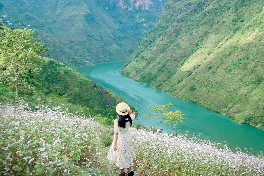 ha giang