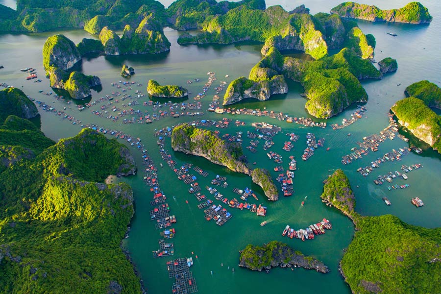 Baie de Lan Ha est l'une des attractions dans le circuit de 10 jours au Nord du Vietnam 