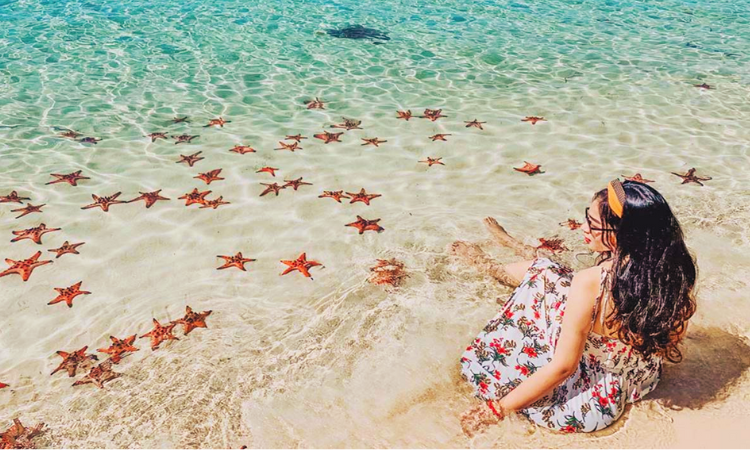 Étoiles de mer rouges dans l'eau peu profonde de la plage de Sao