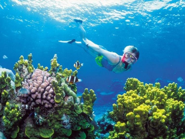 La baie de Van Phong possède des récifs coralliens sous l'océan 