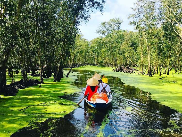 Découvrir la forêt du parc national en bateau