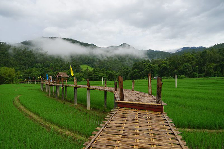 Le paysage au pont Boon Kho Ku So est magnifique toute l'année