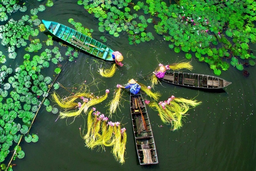 Ca Mau possède un climat tropical 