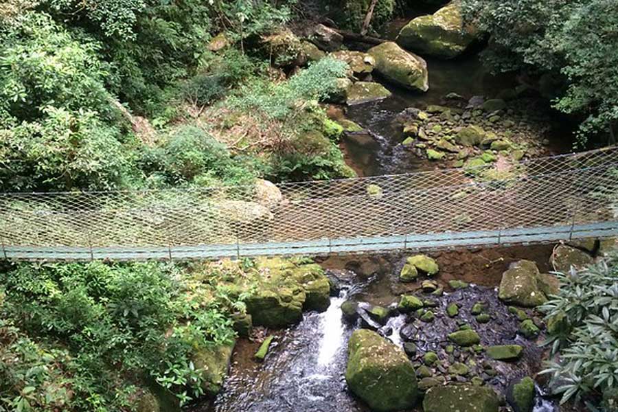 Cascade Nam Kat