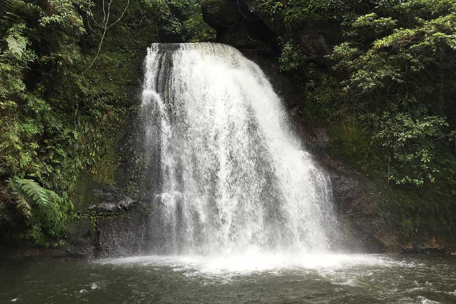 Cascade Nam Kat
