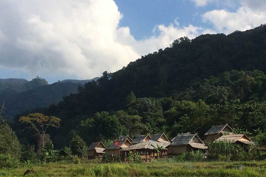 Cascade Nam Kat