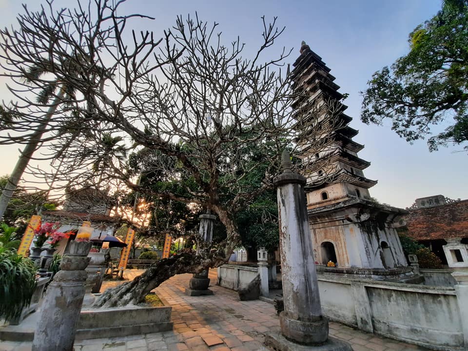 Pagode Pho Minh à Nam Dinh