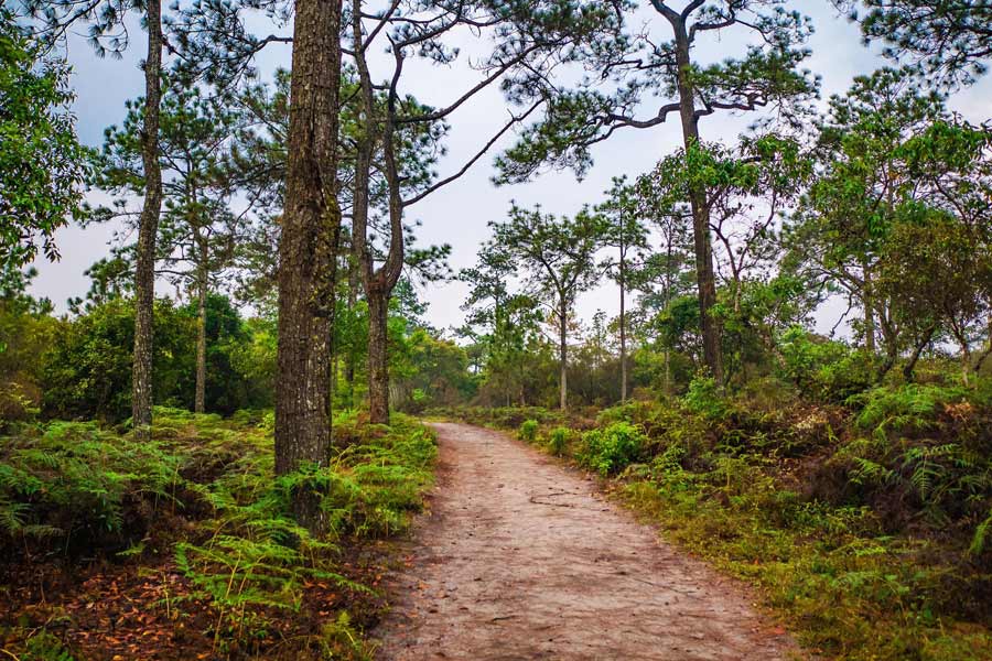 Circuit Nord-Est Thaïlande: Circuit nature et randonnée dans l’Isan