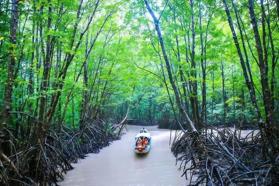 Le climat de Tra Vinh est relativement agréable, ce qui vous permettra de profiter pleinement de votre séjour