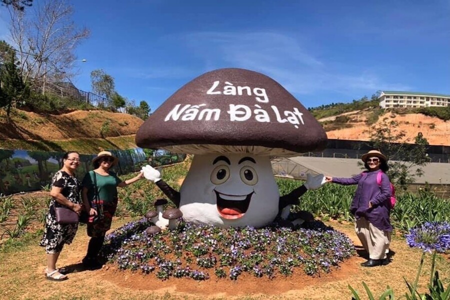 La cueillette de champignons à Da Lat se vit pleinement entre juin et septembre