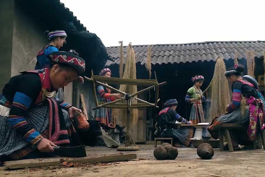 Voyage à Ha Giang 2025 : Top 10 des destinations à ne pas manquer