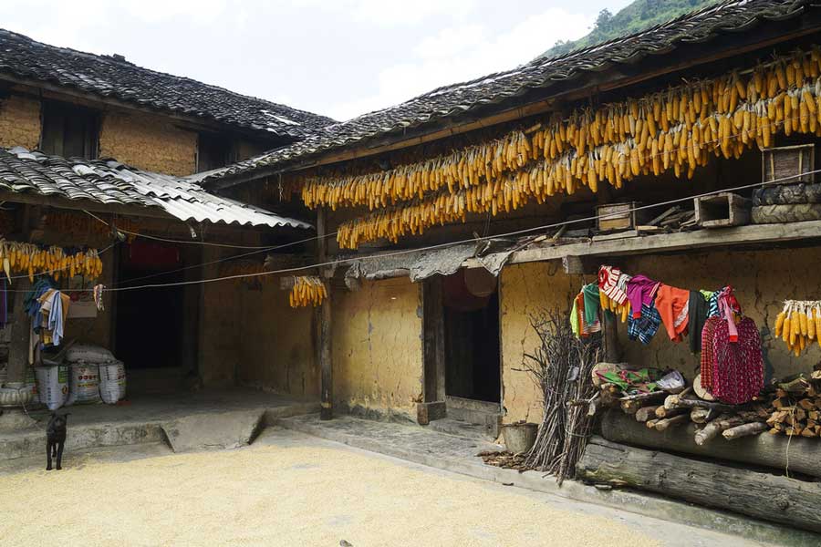 Top 5 destinations incontournables de Ha Giang : trésors cachés du nord vietnamien