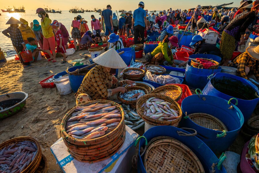Découvrir les marchés locaux et la culture traditionnelle est une expérience incontournable à Dong Hoi
