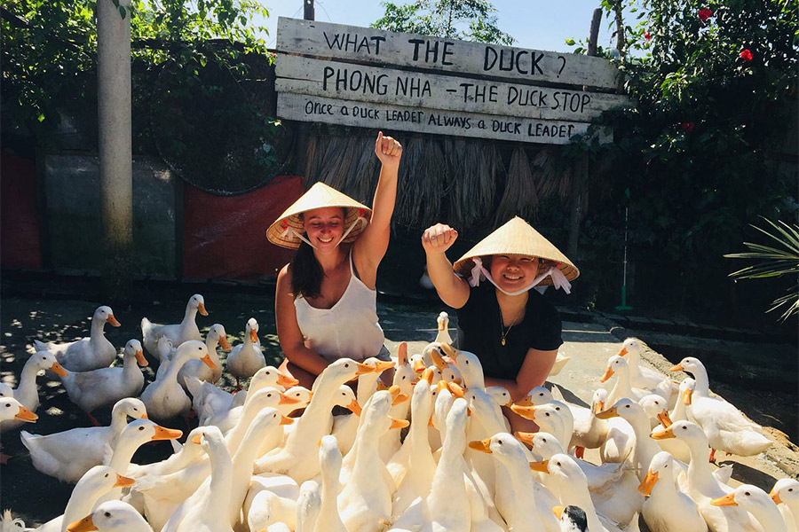 Vous serez le leader des canards en visitant le Duck Stop à Quang Binh