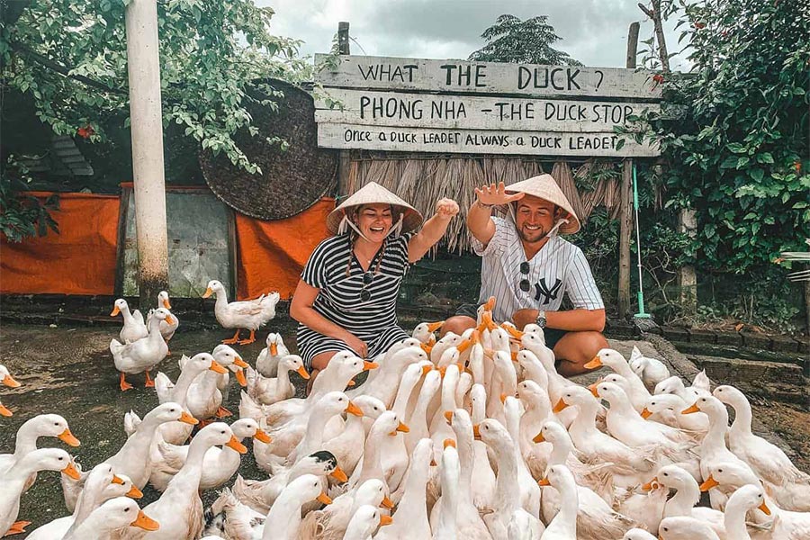 Duck Stop Quang Binh est une ferme de canards située près de la grotte de Phong Nha