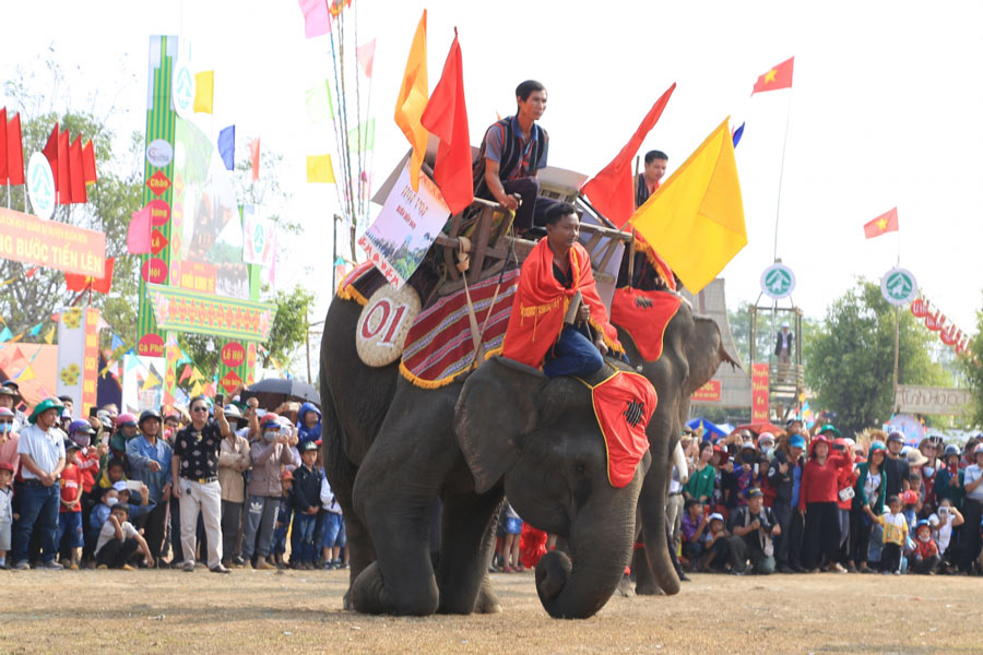Festival de courses d'éléphants à Dak Lak