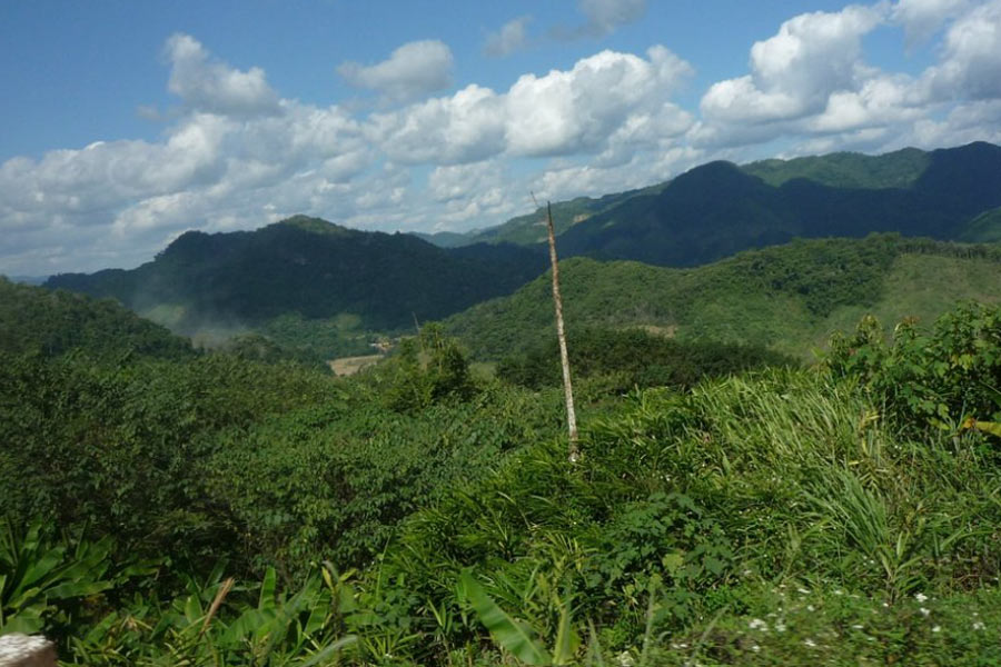 Exploration de la nature dans la forêt de Dakong