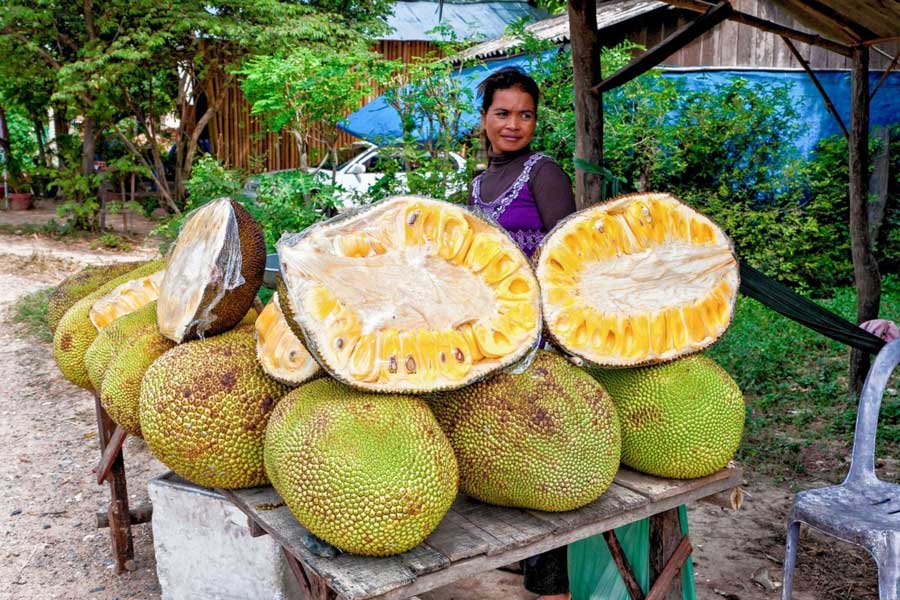Top 10 des célèbres fruits au Cambodge : un festival de saveurs exotiques