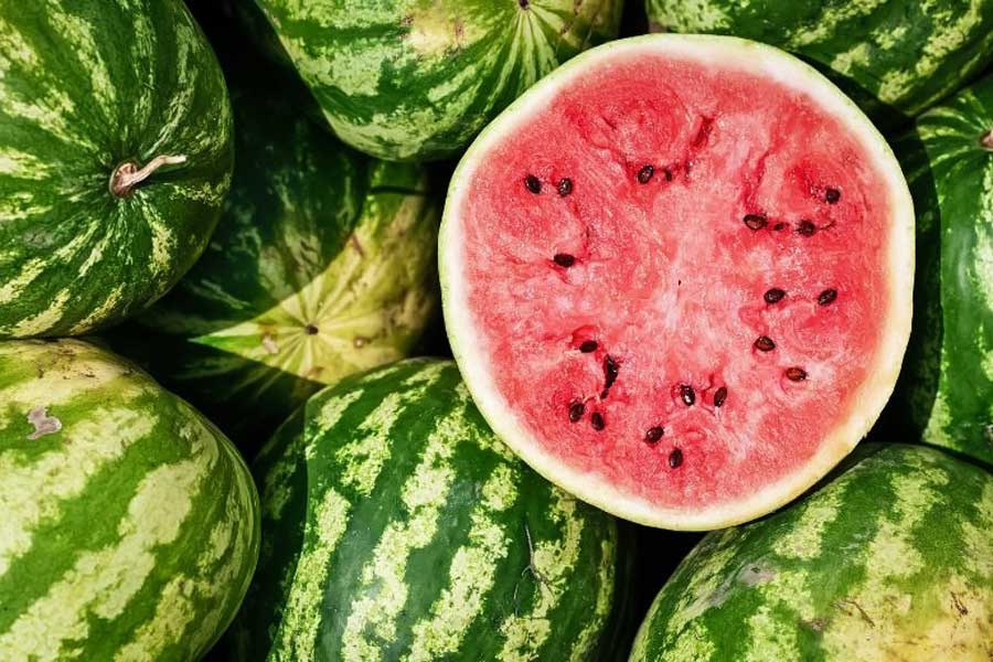 Top 10 des célèbres fruits au Cambodge : un festival de saveurs exotiques