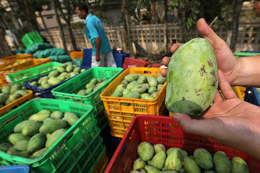 Top 10 des célèbres fruits au Cambodge : un festival de saveurs exotiques