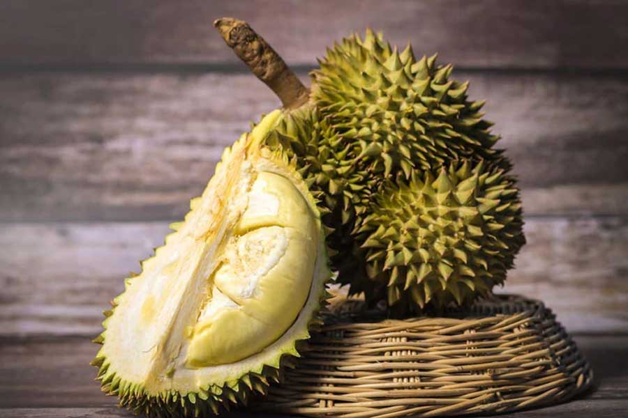Top 10 des célèbres fruits au Cambodge : un festival de saveurs exotiques